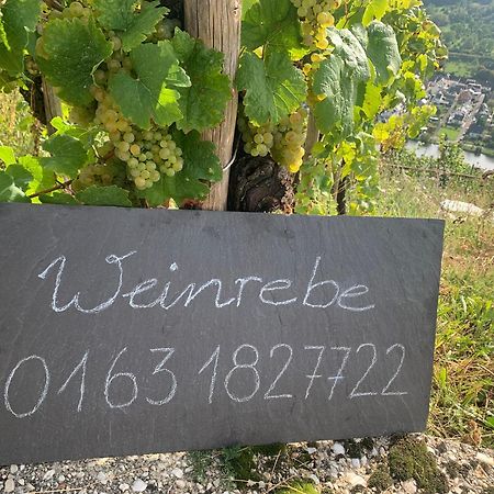贝恩卡斯特尔-屈斯Weinrebe公寓 外观 照片